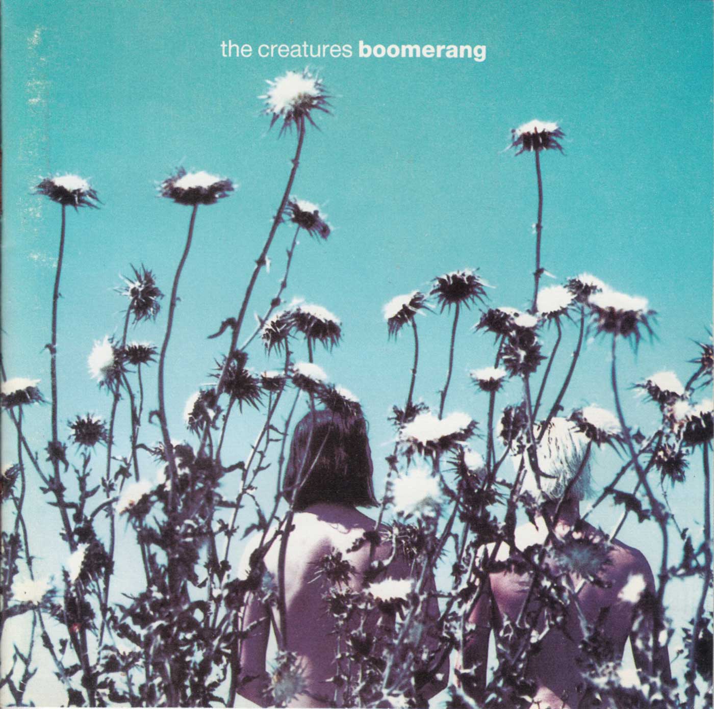 Boomerang